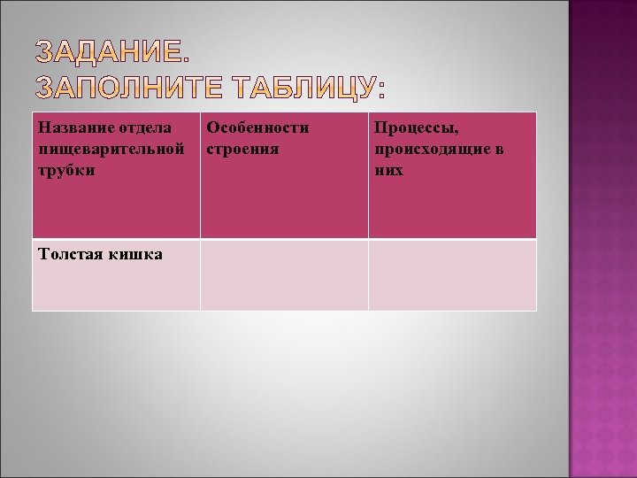 Название отдела пищеварительной трубки Толстая кишка Особенности строения Процессы, происходящие в них 