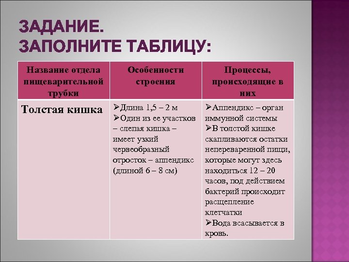 Сравните строение тонкого и толстого кишечника