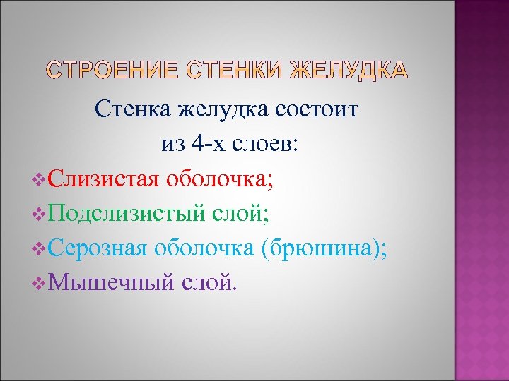 Стенка желудка состоит из 4 -х слоев: v. Слизистая оболочка; v. Подслизистый слой; v.