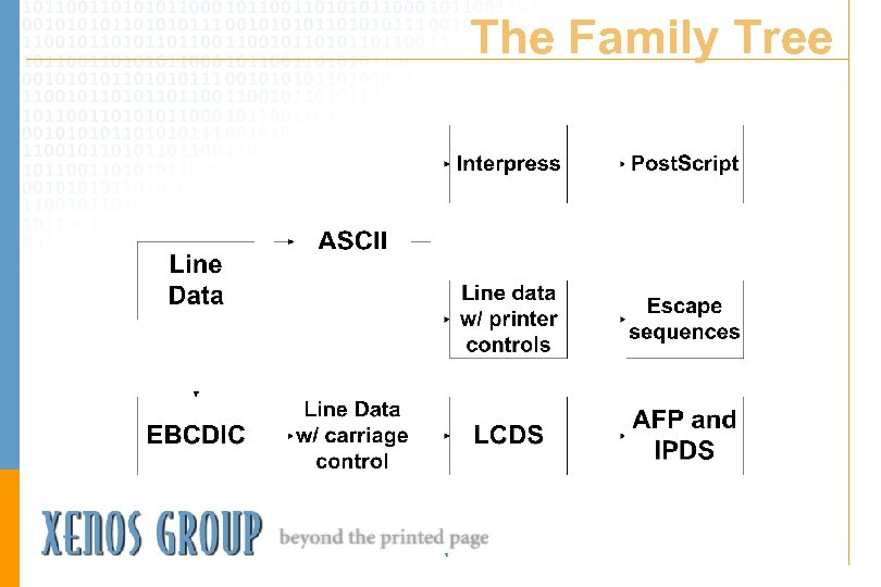 The Family Tree T 