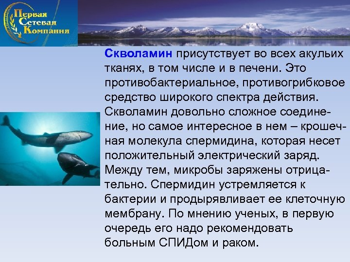 Скволамин присутствует во всех акульих тканях, в том числе и в печени. Это противобактериальное,