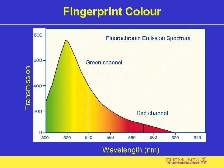 Fingerprint Colour Fluorochrome Emission Spectrum Transmission Green channel Red channel Wavelength (nm) The Rapid