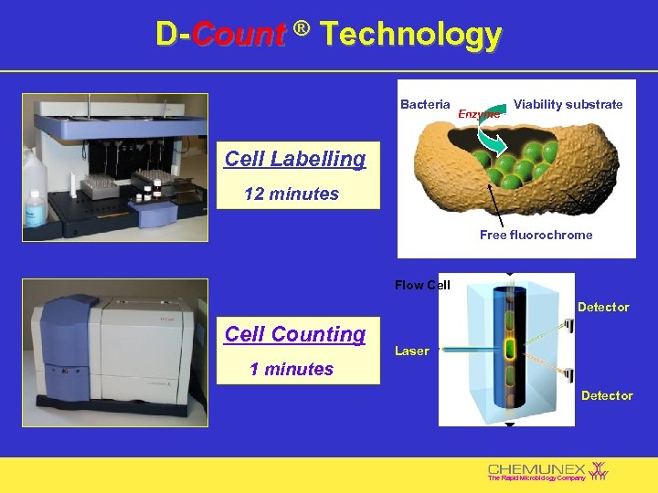 D-Count ® Technology Bacteria Enzyme Viability substrate Cell Labelling 12 minutes Free fluorochrome Flow
