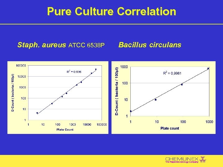 Pure Culture Correlation Staph. aureus ATCC 6538 P Bacillus circulans The Rapid Microbiology Company