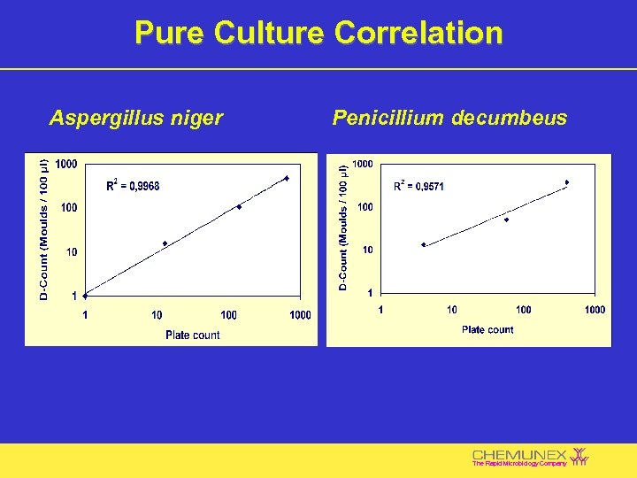 Pure Culture Correlation Aspergillus niger Penicillium decumbeus The Rapid Microbiology Company 