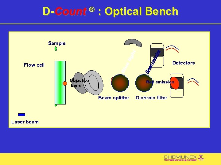D-Count ® : Optical Bench Sample Detectors Flow cell Objective Lens Red emission Beam