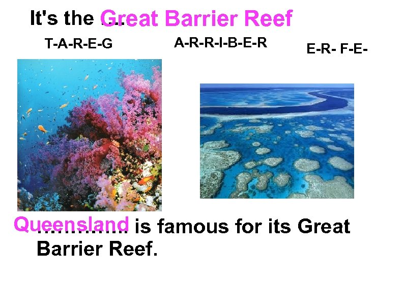 It's the …. . Great Barrier Reef T-A-R-E-G A-R-R-I-B-E-R E-R- F-E- Queensland …………. .