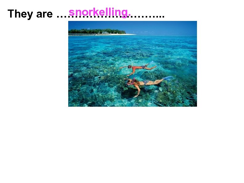 snorkelling. They are ……………. . . 