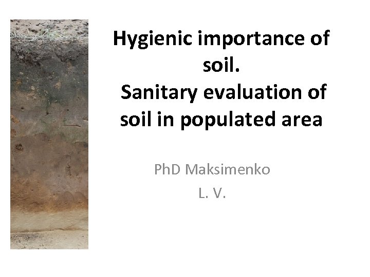 Hygienic importance of soil. Sanitary evaluation of soil in populated area Ph. D Maksimenko