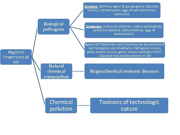 Constant (Anthrax, agent of gas gangrene, botulism, tetanus, actinomycosis; eggs of soil-transmitted helminths) Biological