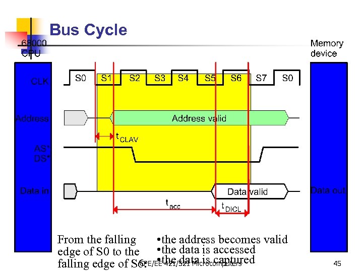 Bus Cycle From the falling • the address becomes valid edge of S 0