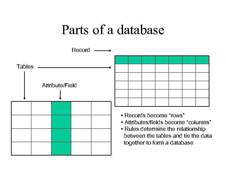 Parts of a database Record Tables Attribute/Field • Records become “rows” • Attributes/fields become