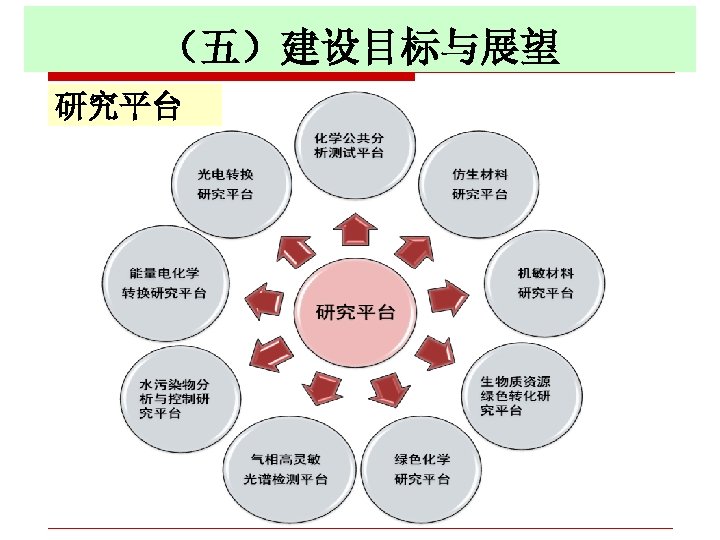 （五）建设目标与展望 研究平台 
