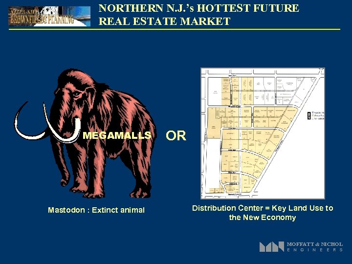 NORTHERN N. J. ’s HOTTEST FUTURE REAL ESTATE MARKET MEGAMALLS Mastodon : Extinct animal