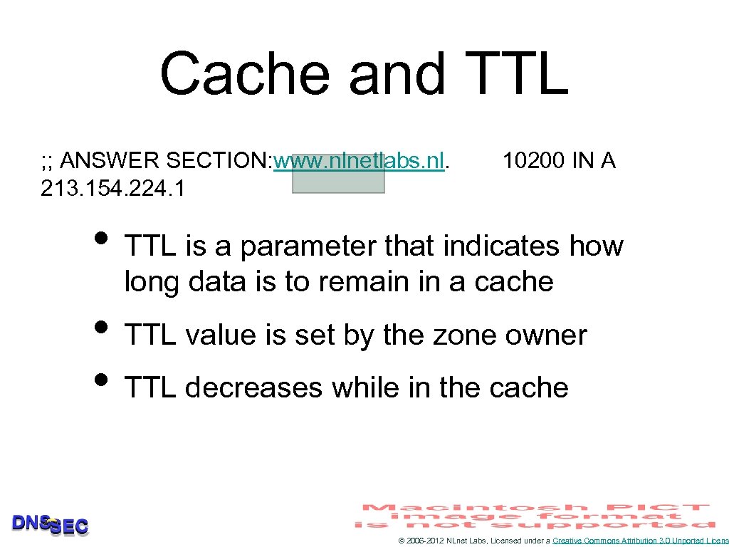 Cache and TTL ; ; ANSWER SECTION: www. nlnetlabs. nl. 213. 154. 224. 1