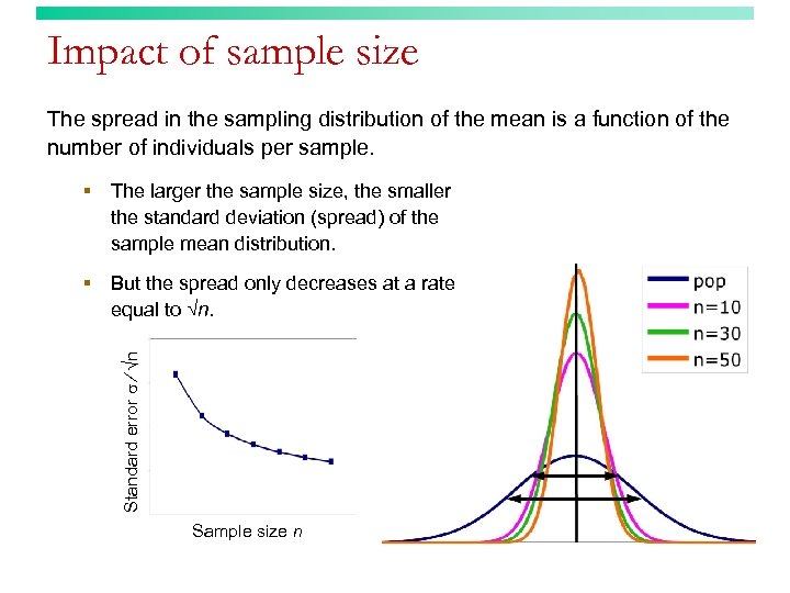 Impact of sample size The spread in the sampling distribution of the mean is