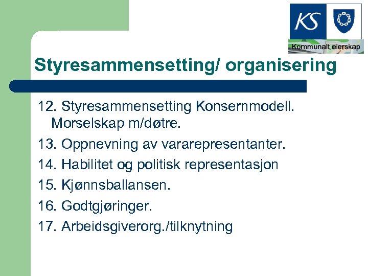 Styresammensetting/ organisering 12. Styresammensetting Konsernmodell. Morselskap m/døtre. 13. Oppnevning av vararepresentanter. 14. Habilitet og