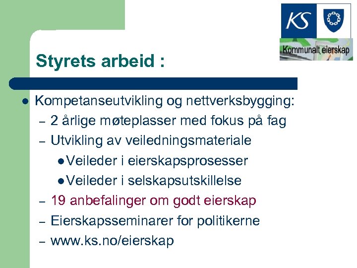 Styrets arbeid : l Kompetanseutvikling og nettverksbygging: – 2 årlige møteplasser med fokus på