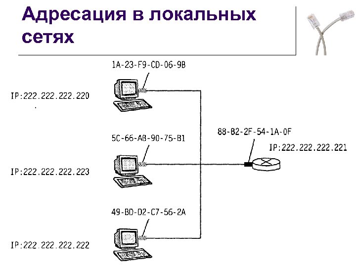 Адресация в локальных сетях 