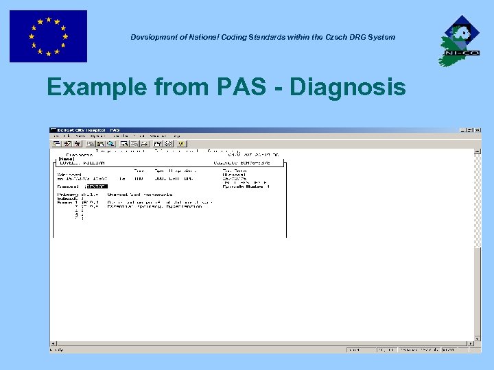 Development of National Coding Standards within the Czech DRG System Example from PAS -