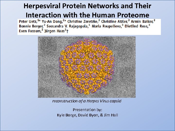 Herpesviral Protein Networks and Their Interaction with the Human Proteome Presentation by: Kyle Borge,
