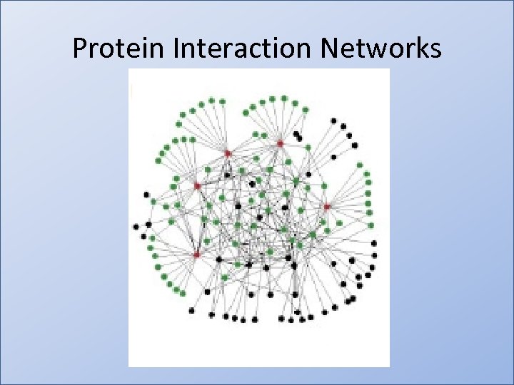 Protein Interaction Networks 