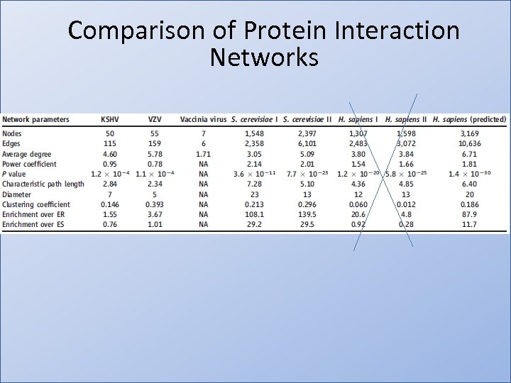 Comparison of Protein Interaction Networks 