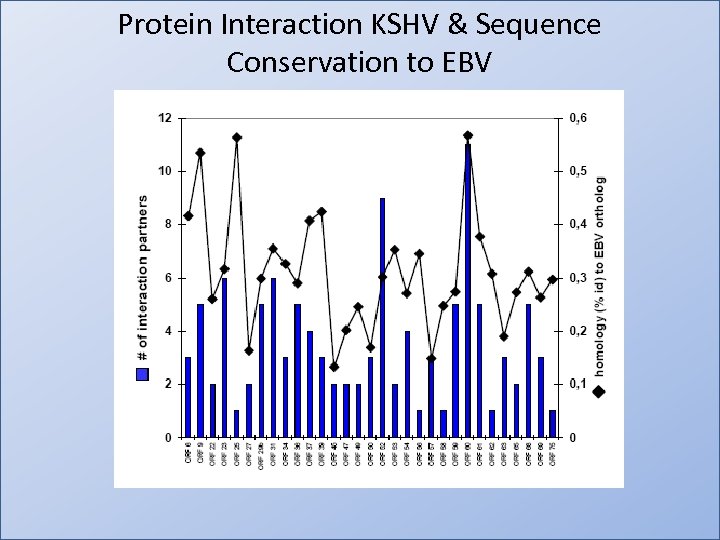 Protein Interaction KSHV & Sequence Conservation to EBV 