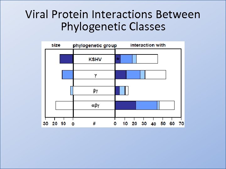Viral Protein Interactions Between Phylogenetic Classes 