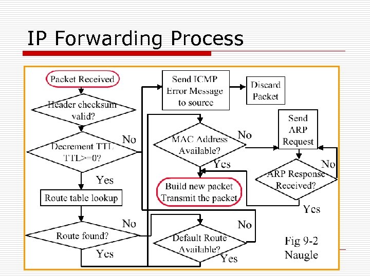 IP Forwarding Process 
