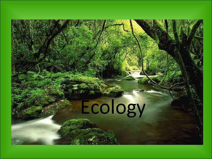 Ecology Ecology- the study of interactions among