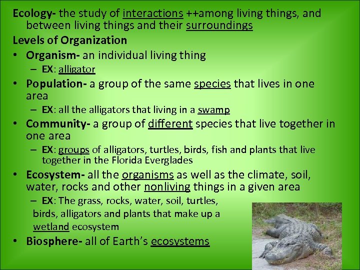 Ecology- the study of interactions ++among living things, and between living things and their