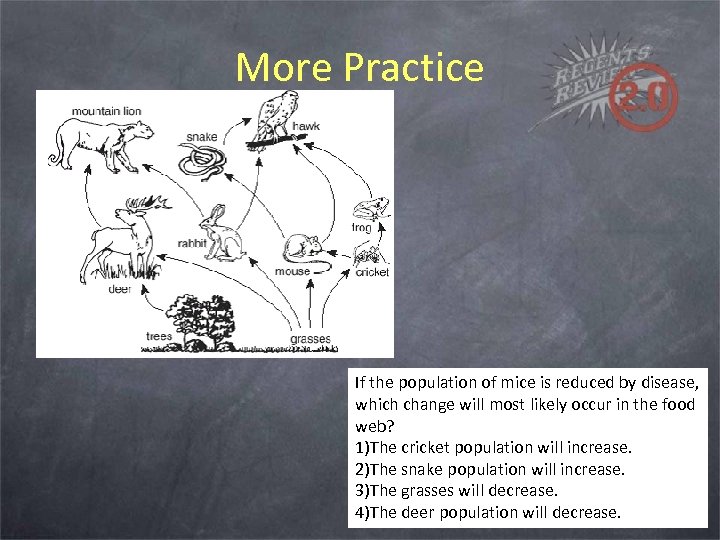 More Practice If the population of mice is reduced by disease, which change will