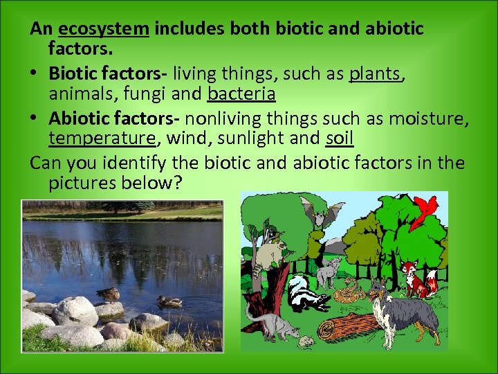 An ecosystem includes both biotic and abiotic factors. • Biotic factors- living things, such