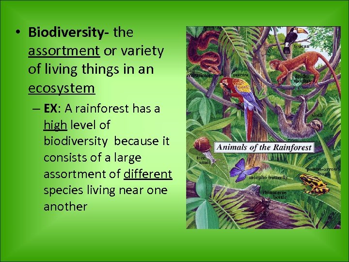  • Biodiversity- the assortment or variety of living things in an ecosystem –