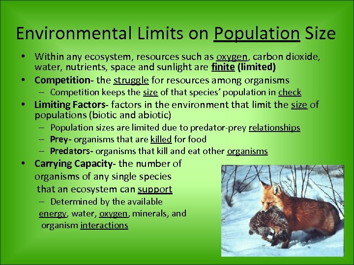 Environmental Limits on Population Size • Within any ecosystem, resources such as oxygen, carbon