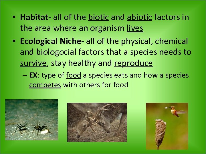  • Habitat- all of the biotic and abiotic factors in the area where