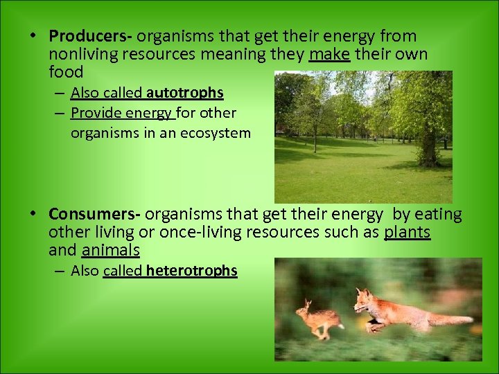  • Producers- organisms that get their energy from nonliving resources meaning they make