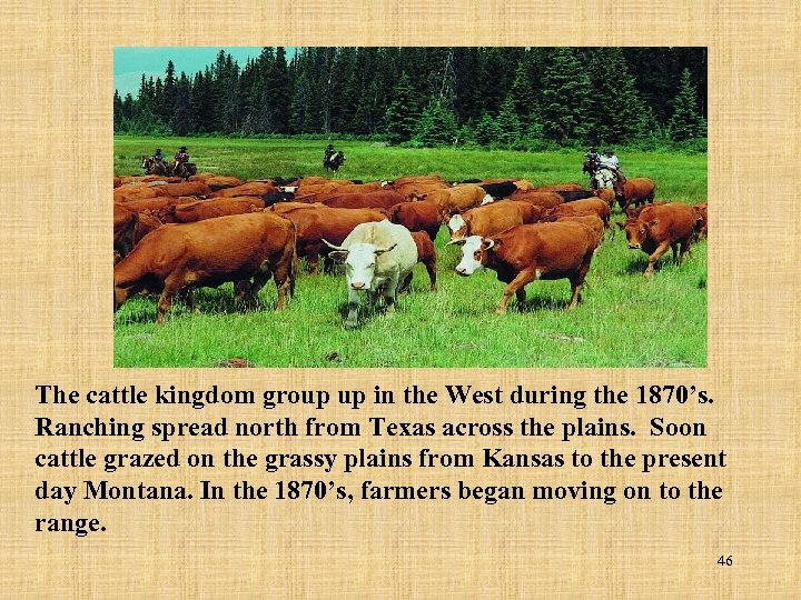 The cattle kingdom group up in the West during the 1870’s. Ranching spread north