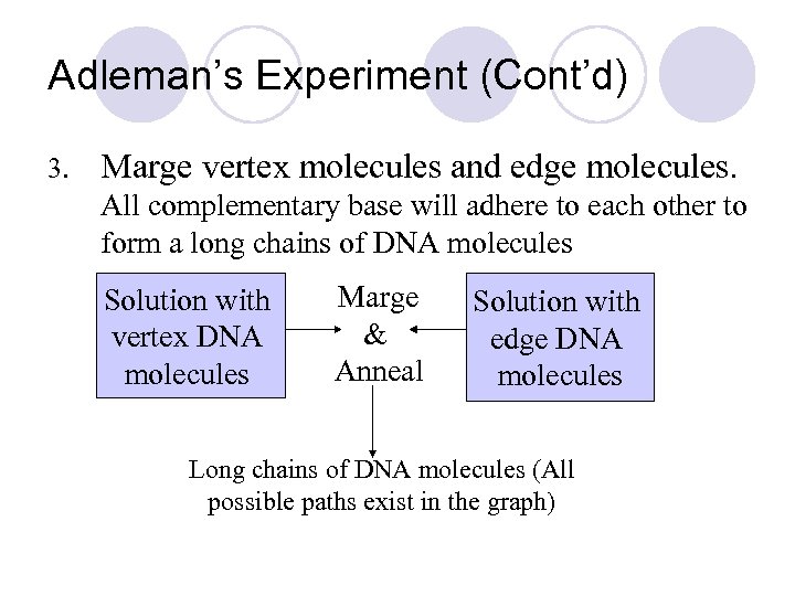 Adleman’s Experiment (Cont’d) 3. Marge vertex molecules and edge molecules. All complementary base will