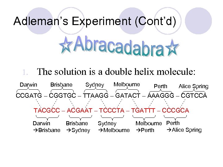 Adleman’s Experiment (Cont’d) 1. The solution is a double helix molecule: Darwin Brisbane Sydney