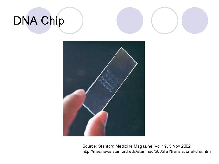 DNA Chip Source: Stanford Medicine Magazine, Vol 19, 3 Nov 2002 http: //mednews. stanford.