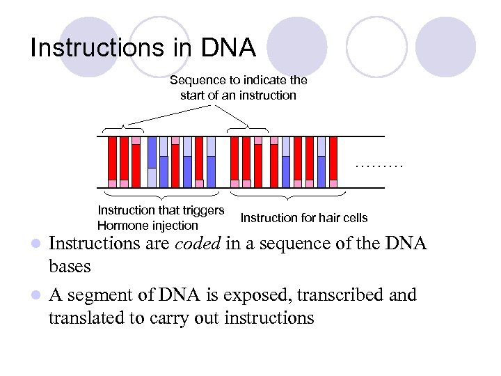 Instructions in DNA Sequence to indicate the start of an instruction ……… Instruction that