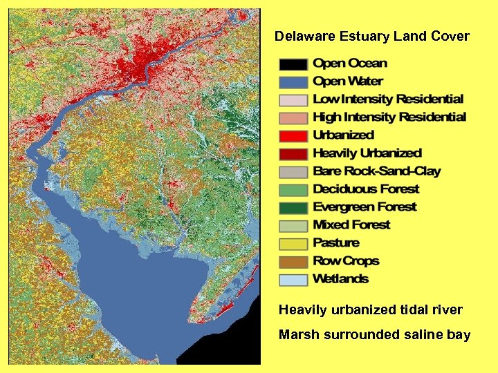 Delaware Estuary Land Cover Heavily urbanized tidal river Marsh surrounded saline bay 