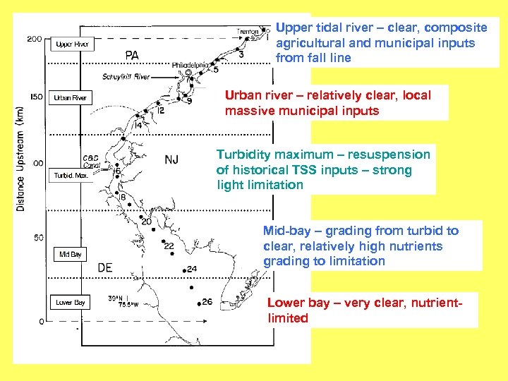 Upper tidal river – clear, composite agricultural and municipal inputs from fall line Urban