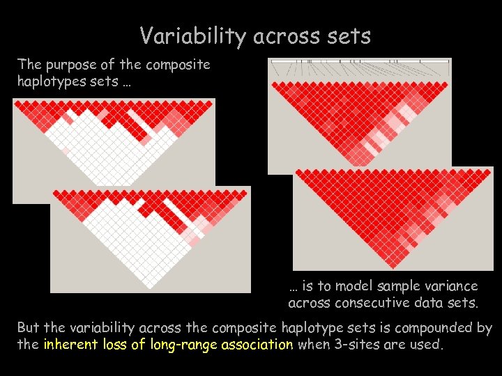 Variability across sets The purpose of the composite haplotypes sets … … is to