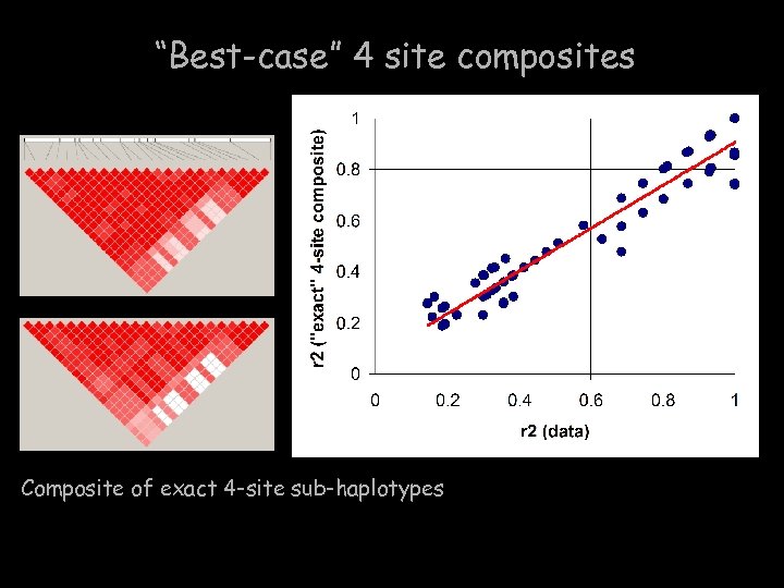 “Best-case” 4 site composites Composite of exact 4 -site sub-haplotypes 