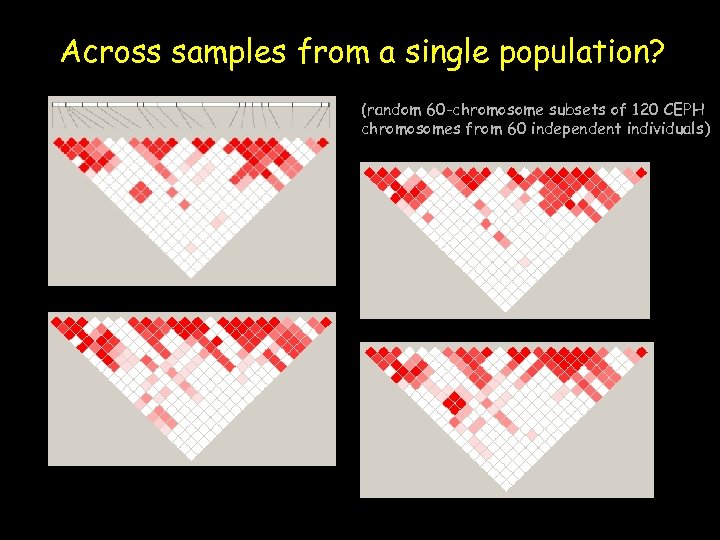 Across samples from a single population? (random 60 -chromosome subsets of 120 CEPH chromosomes