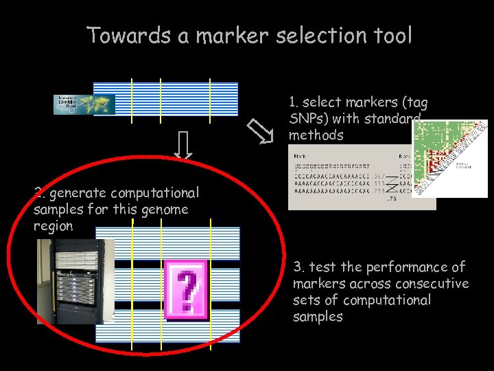 Towards a marker selection tool 1. select markers (tag SNPs) with standard methods 2.