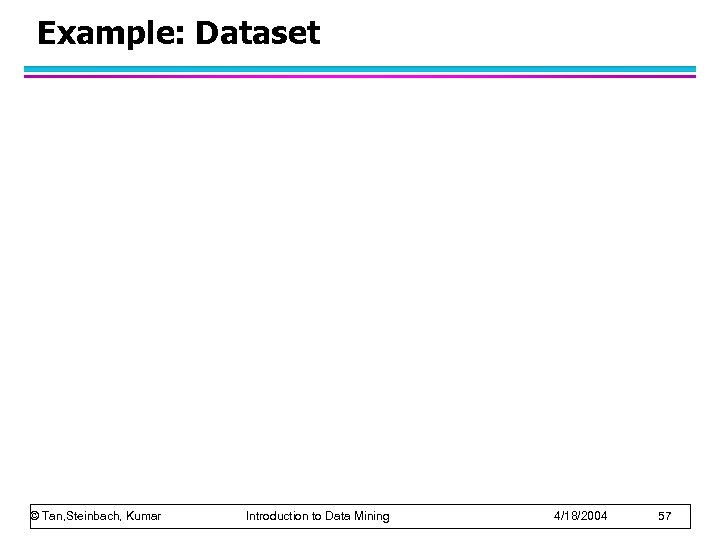 Example: Dataset © Tan, Steinbach, Kumar Introduction to Data Mining 4/18/2004 57 